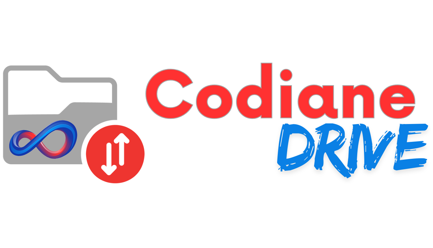 Codiane Drive - La Sécurité de vos Données